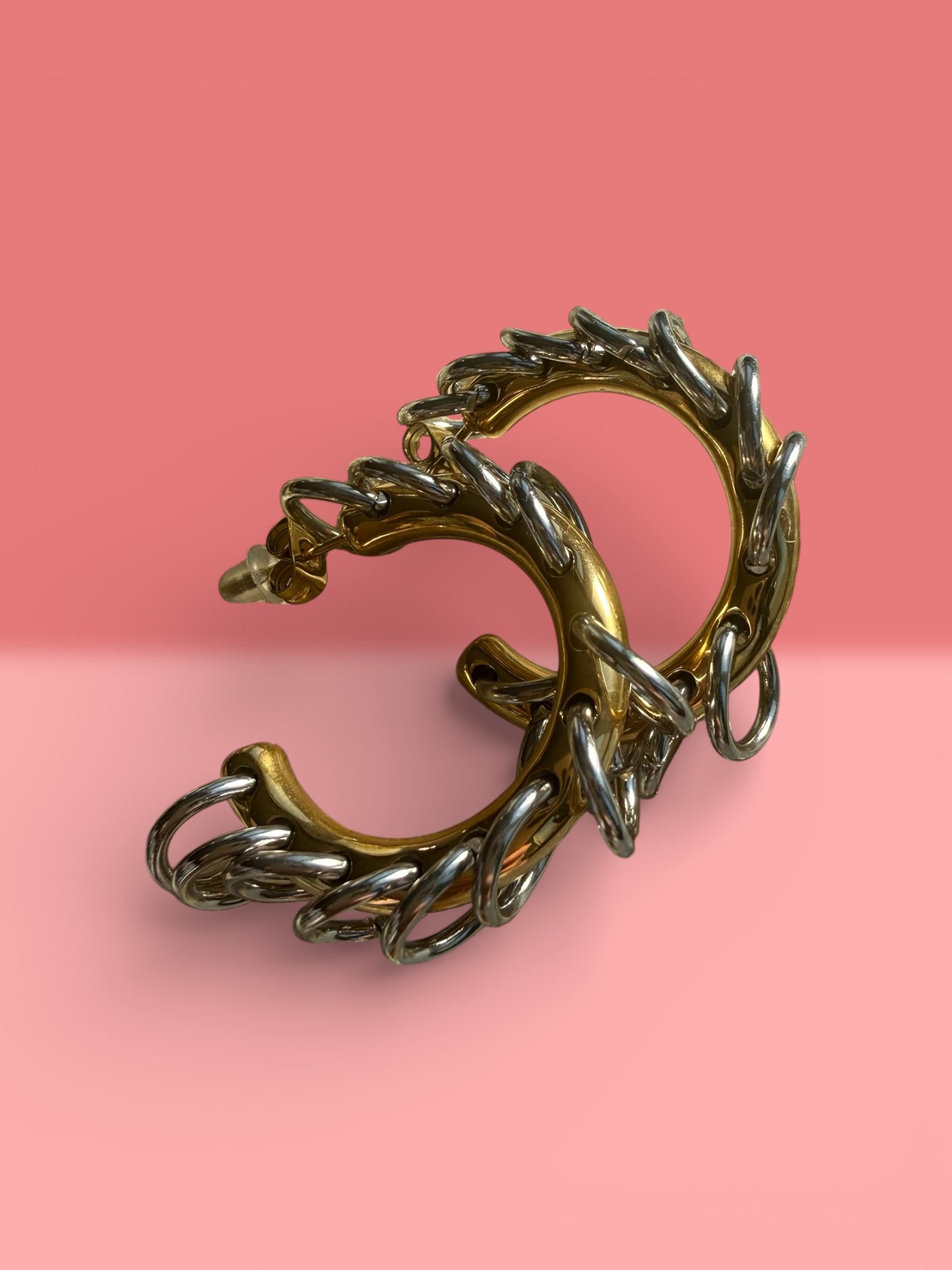 Hoopy hoops earrings