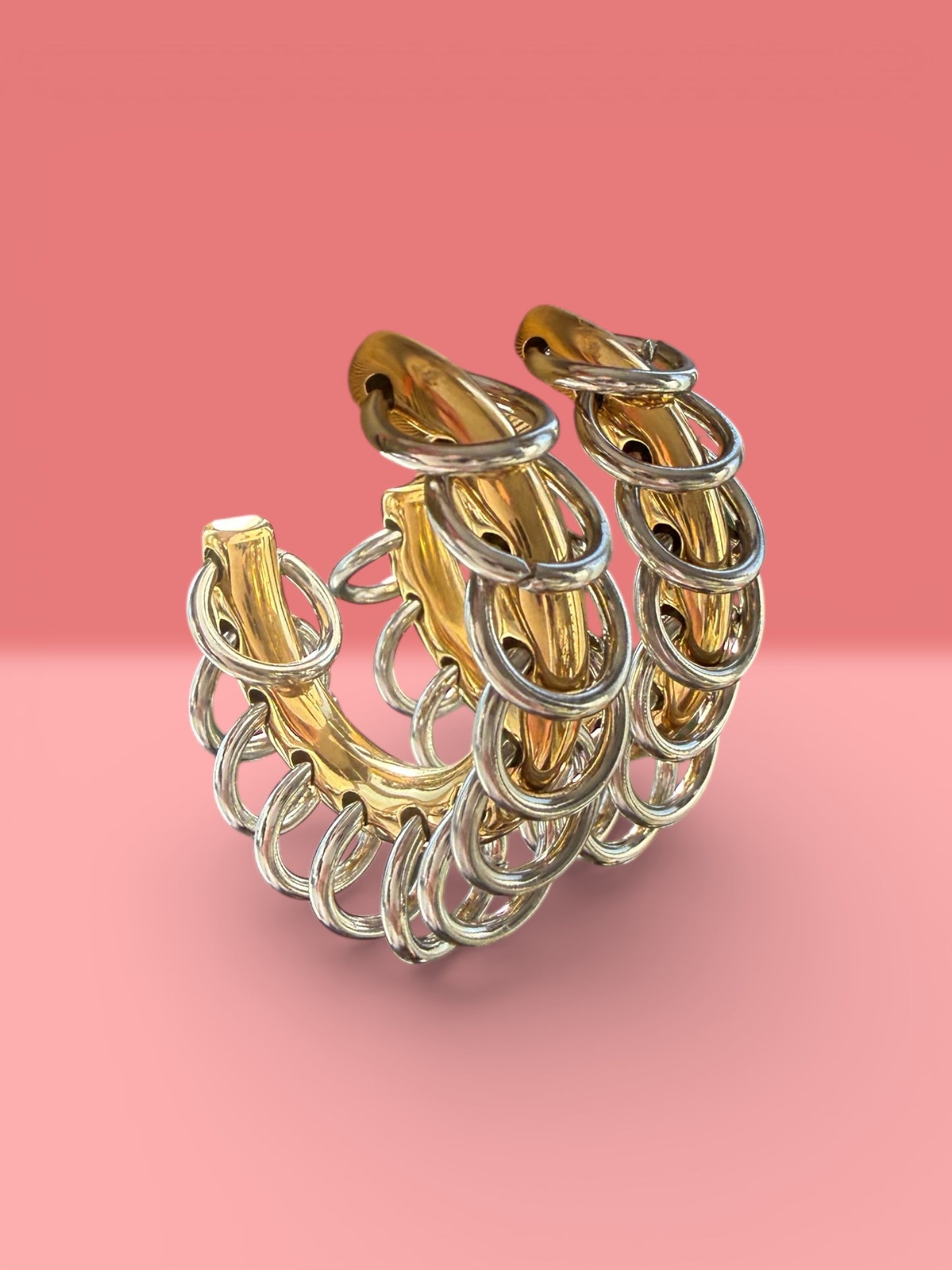 Hoopy hoops earrings