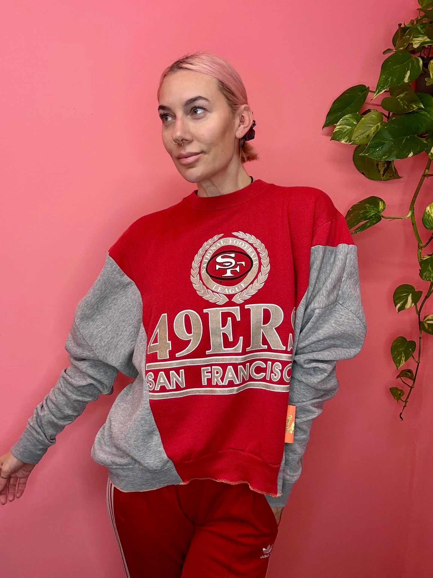 49ers mashup