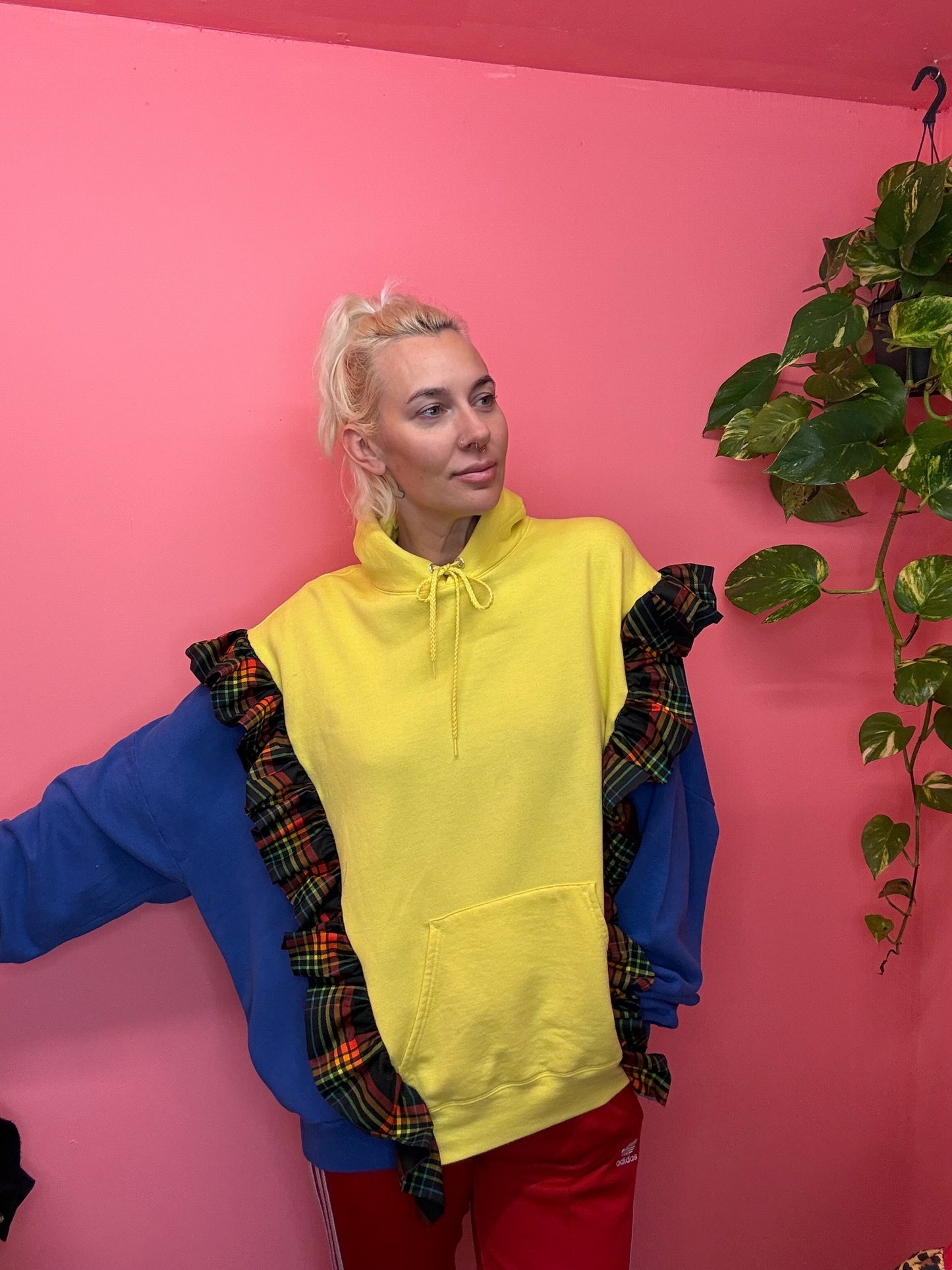 Sunshine and blues sky