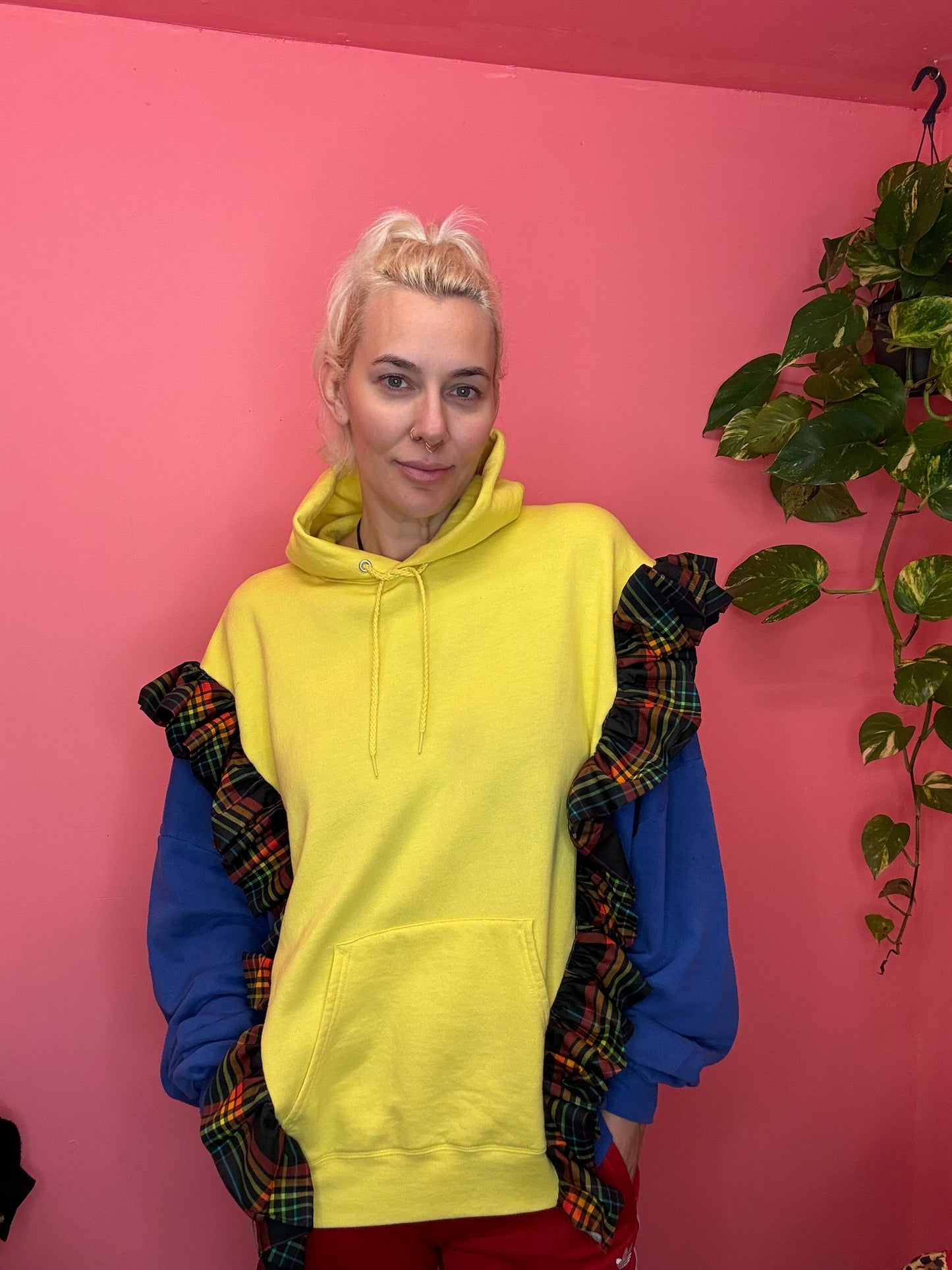 Sunshine and blues sky